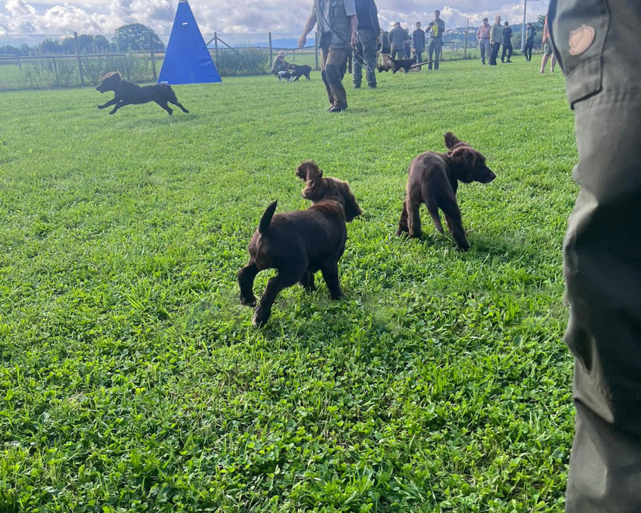 13a7c47c-9643-434b-99fb-9d58ae2db682