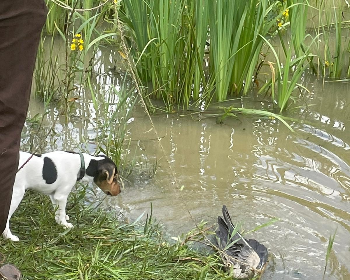 PHOTO-2024-07-13-11-53-34