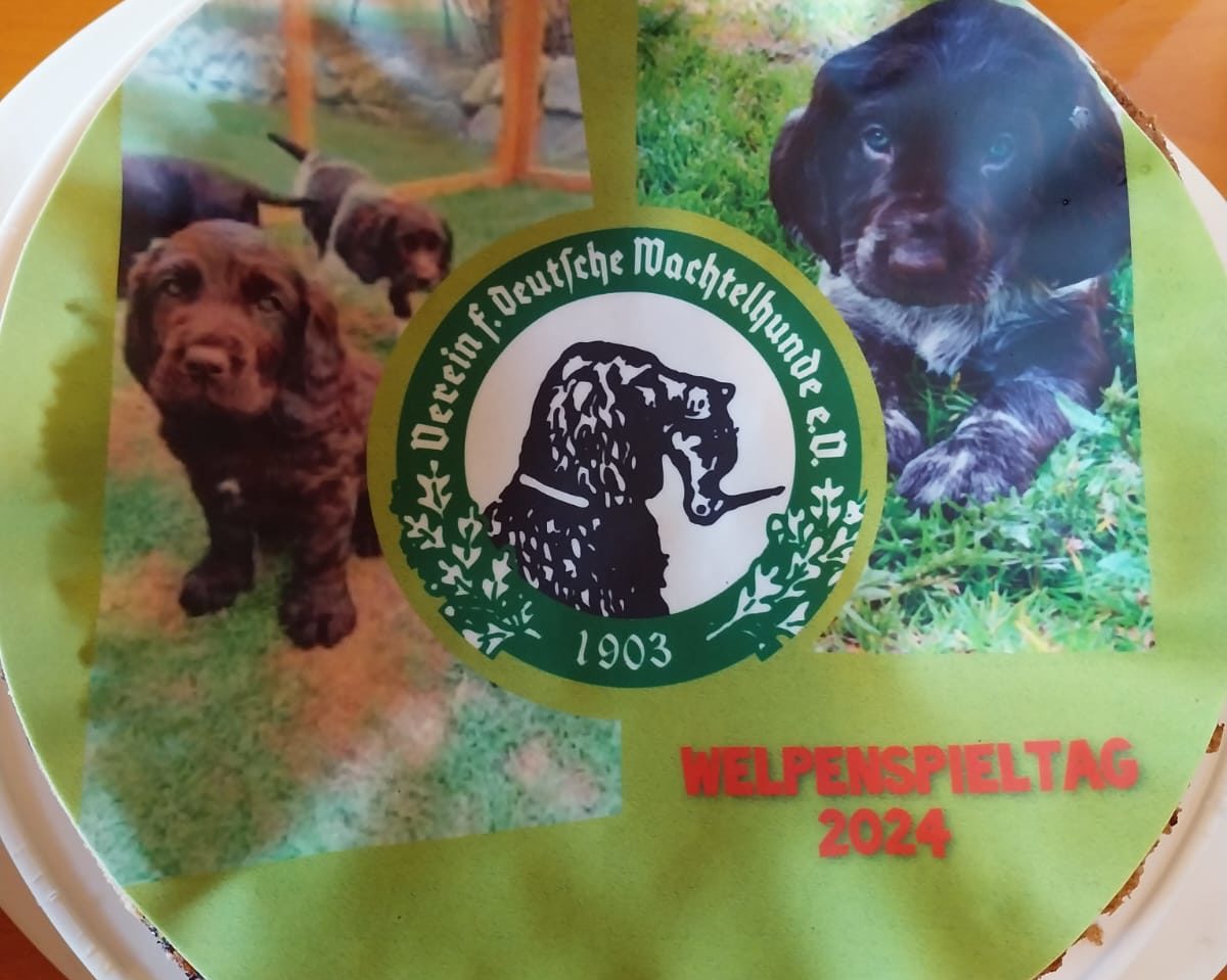 PHOTO-2024-07-13-15-46-09