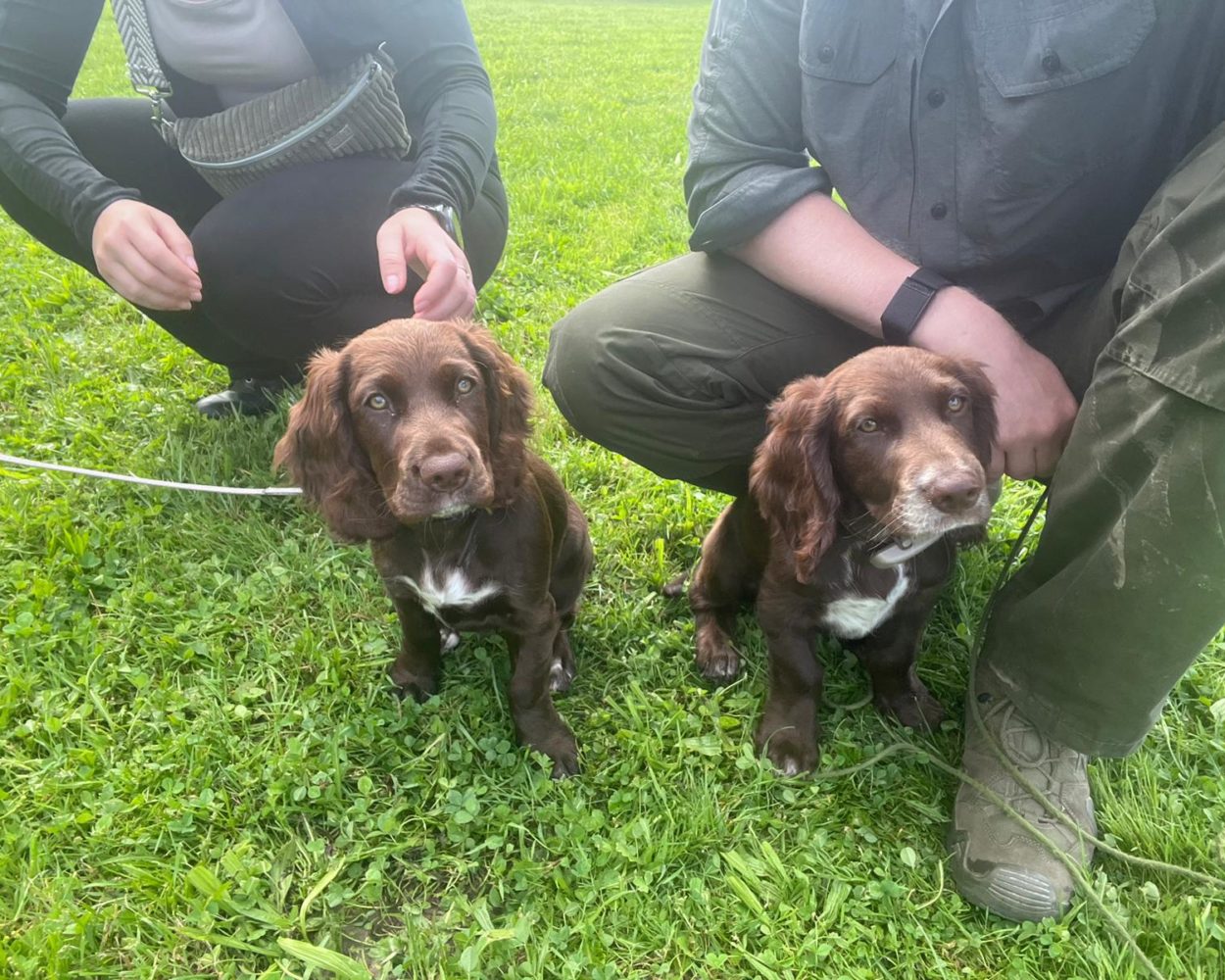 PHOTO-2024-07-15-17-07-35