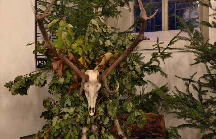 PHOTO-2024-10-19-07-21-52